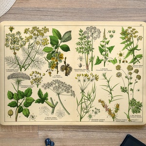 Medicinal Plants Herbs Garden Botanical UNIVERSAL Laptop Skin, Computer Skin, Laptop Sticker Decal, Full Coverage Protective Laptop Skin