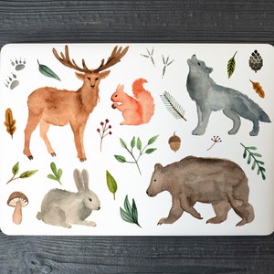 May include: Watercolor illustration of a woodland scene with a deer, wolf, bear, rabbit, squirrel, and various plants and foliage. The animals are painted in shades of brown, gray, and orange.
