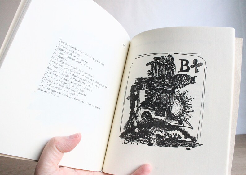 Rare vintage 1985 Waldo Rojas bilingual poetry book, illustrations by Guillermo Deisler, Principe de Naipes, Prince du Jeu de Cartes 画像 5