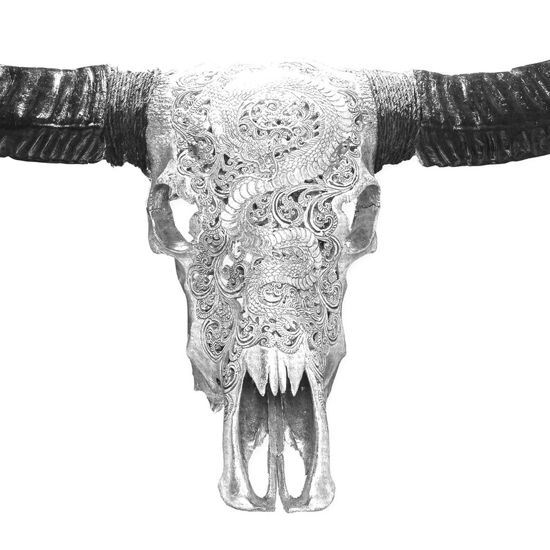 Bull skull print bull horns bohemian wall art cow skull Etsy