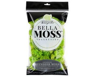 Bella Moss 80 cu in bag