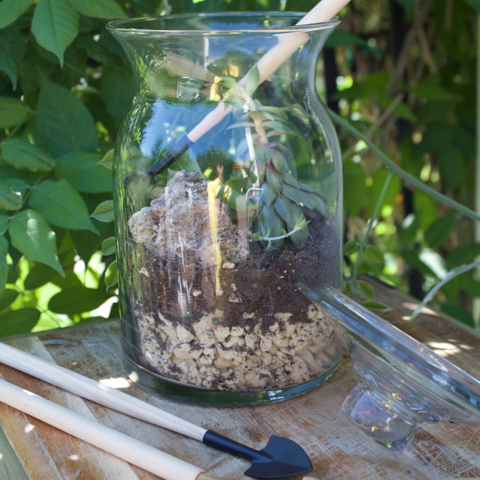 3 Pc. Terrarium Tool Kit Etsy