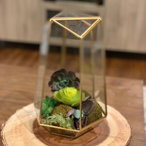 DIY Geometric Glass Terrarium KIT Tall image 4