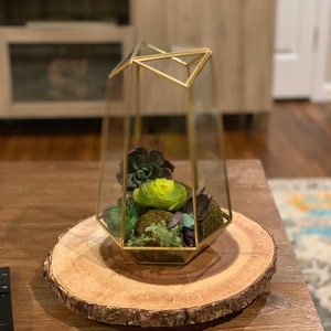 DIY Geometric Glass Terrarium KIT - Tall