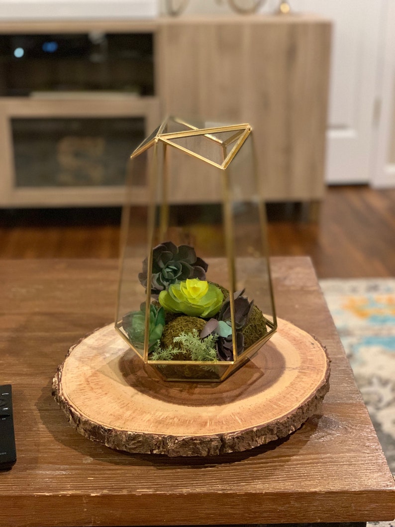 DIY Geometric Glass Terrarium KIT Tall image 1