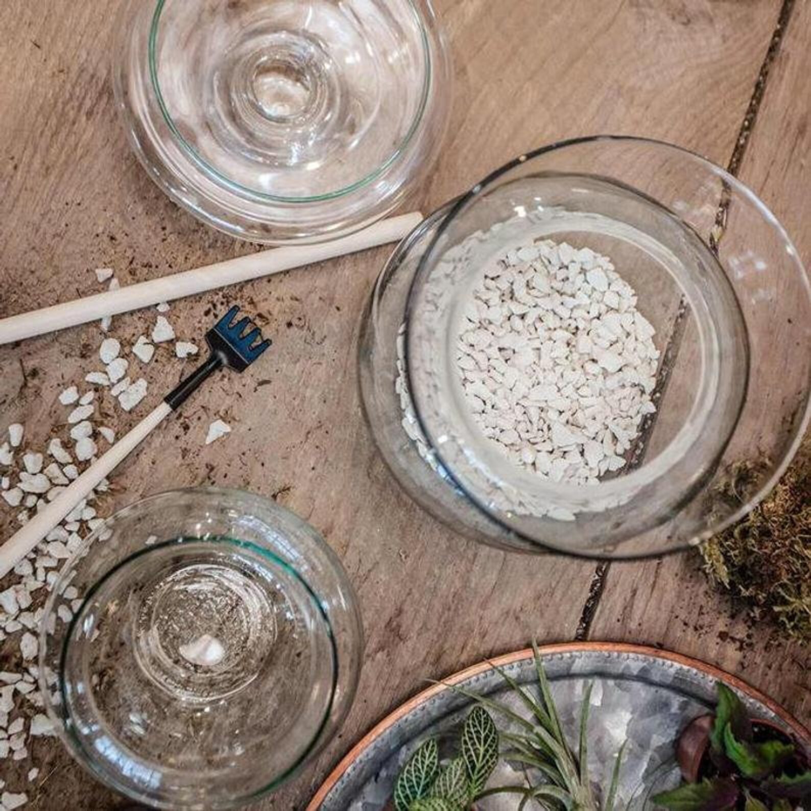 3 Pc. Terrarium Tool Kit Etsy