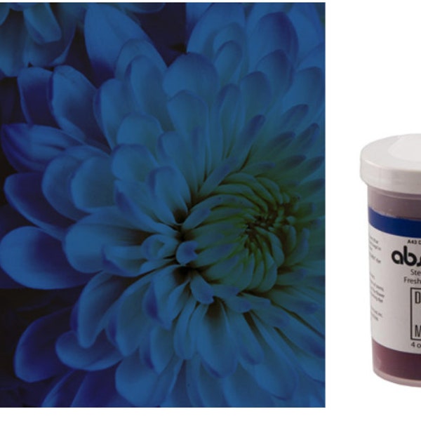 Absorbit Stem Dye 4oz tub