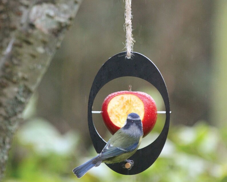 Ashortwalk Eco Bird Feeder Etsy