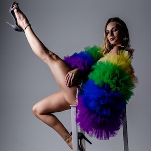 Può includere: Un capo in tulle colorato a strati nei colori dell'arcobaleno: viola, blu, verde e giallo. L'indumento è indossato con scarpe nere con tacco alto. La modella è seduta su uno sgabello bianco su sfondo grigio.