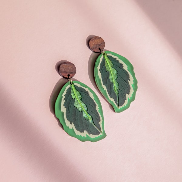Large Calathea Acrylic Earrings in two colors, very lightweight