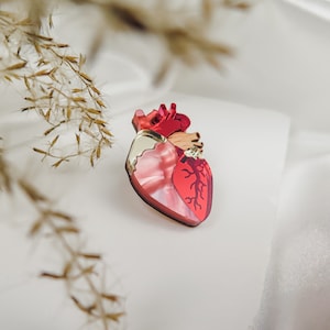 Anatomical Heart Lapel Pin lasercut from acrylic glass, perfect Valentine's day gift, unisex zdjęcie 3
