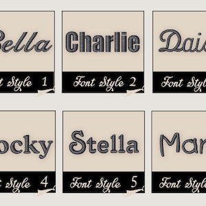 May include: Six embroidered name examples: Bella, Charlie, Daisy, Rocky, Stella, and Mars. Each name is displayed in a different font style, with the font style number below each name on a black banner.