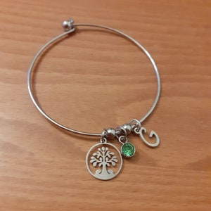 Può includere: Un braccialetto rigido in argento con un ciondolo ad albero della vita, un ciondolo di cristallo verde e un ciondolo in argento con la lettera "C".