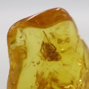 May include: A piece of amber with a small insect trapped inside. The amber is a light yellow color and is translucent. The insect is a dark brown color and is visible through the amber.