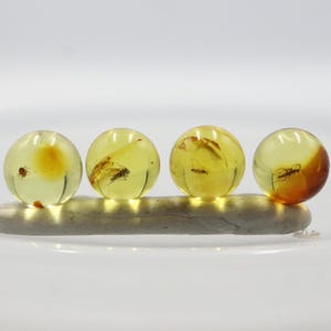 May include: Four translucent amber beads, each with an insect inclusion, sit on a light-coloured, oblong base. The beads vary in colour, with some showing a reddish-brown hue. The background is a soft white.