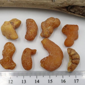 Baltic Amber Drops 8 Stones | Naturally Formed over Millions of Years |  Genuine  Raw Amber Gemstones  | Can be Used for Jewelry making