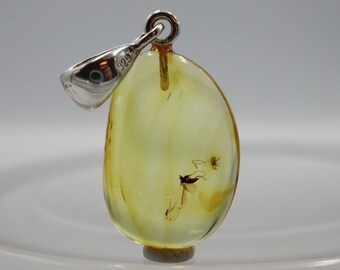 925 Sterling Silver Baltic Amber Pendant Necklace with Fossil trapped for Million Years Natural Amber Jewelry Amber Pendant with Insect