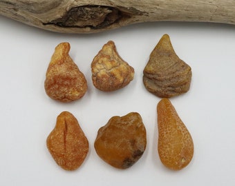 Ambre Baltique Naturel - Lot De 20gr (25-35 Pierres)