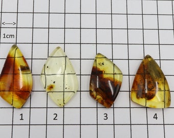 Baltic Amber Cabochons with Insects | Selection of Polished Gemstones | Size 3.2 cm - 4cm | Jewelry, Ring, Pendant Making Amber Cabochon