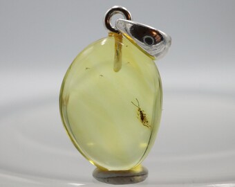 925 Sterling Silver Baltic Amber Pendant Necklace with Fossil trapped for Million Years Natural Amber Jewelry Amber Pendant with Insect