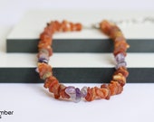 Amber Collar for Dogs and Cats ALL SIZES with Amethyst Gemstones Anti Ticks and Fleas Amber Necklace Made from Natural Raw Amber