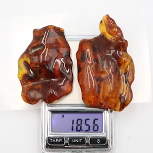Baltic Amber Stones | Genuine Raw Amber Pieces | Can be used as DECORATION or for Amber Jewelry making | Natural Baltic Amber Gemstones