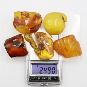 Baltic Amber Stones | Genuine Raw Amber Pieces | Can be used as DECORATION or for Amber Jewelry making | Natural Baltic Amber Gemstones