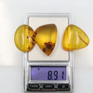 Baltic Amber Stones | Genuine Raw Amber Pieces | Can be used as DECORATION or for Amber Jewelry making | Natural Baltic Amber Gemstones