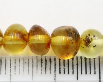 ドリルで穴を開けた8ロットの琥珀石に何百万年も閉じ込められたクモの