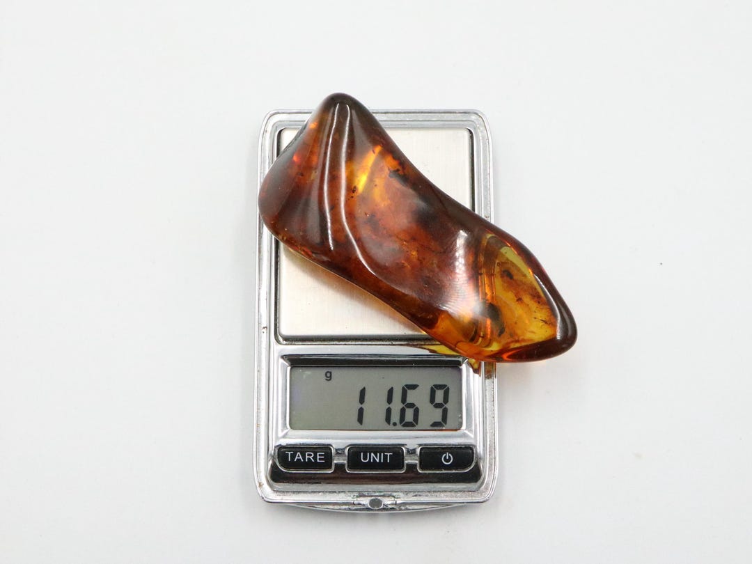 Baltic Amber Stone With Bug and 6 Insects | Genuine Raw Amber Piece ...