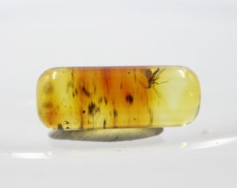 Cylindrical Amber with an Insect NOT DRILLED trapped for Million Years | Fossil Inclusion in Baltic Amber Stone | Certified Baltic Amber