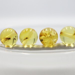 May include: Four amber spheres, each with an insect inside, are presented on a white surface. The spheres are a translucent yellow, and the insects are visible. The spheres are arranged in a row.