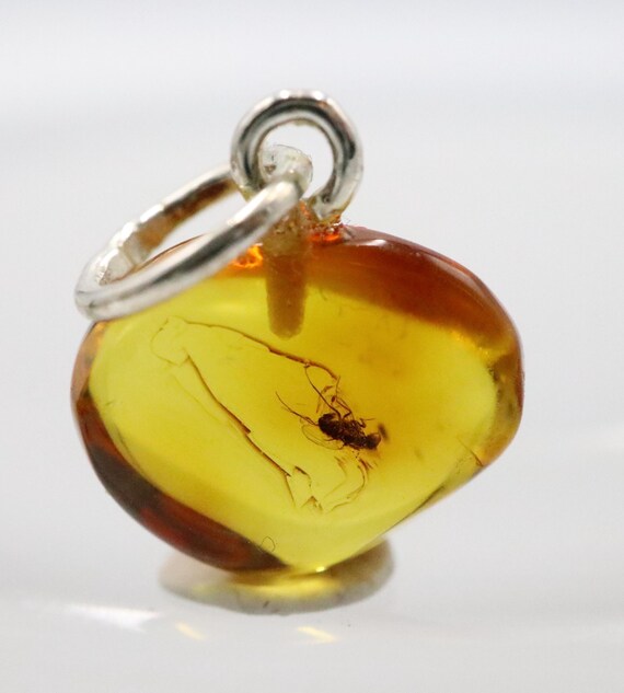Amber Pendant with Insect, 925 Sterling Silver Baltic Amber Pendant  Necklace with Million Years Fossil Natural Amber Jewelry