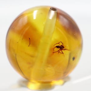 May include: A transparent, amber-hued sphere containing a preserved spider. A metal tube protrudes from the top. This decorative item could be a paperweight or an ornament.