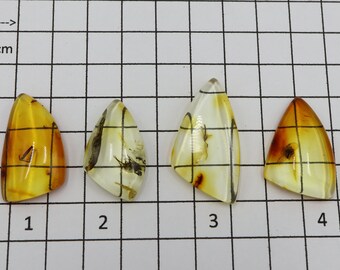 Baltic Amber Cabochons with Insects | Selection of Polished Gemstones | Size 3.2 cm - 4cm | Jewelry, Ring, Pendant Making Amber Cabochon