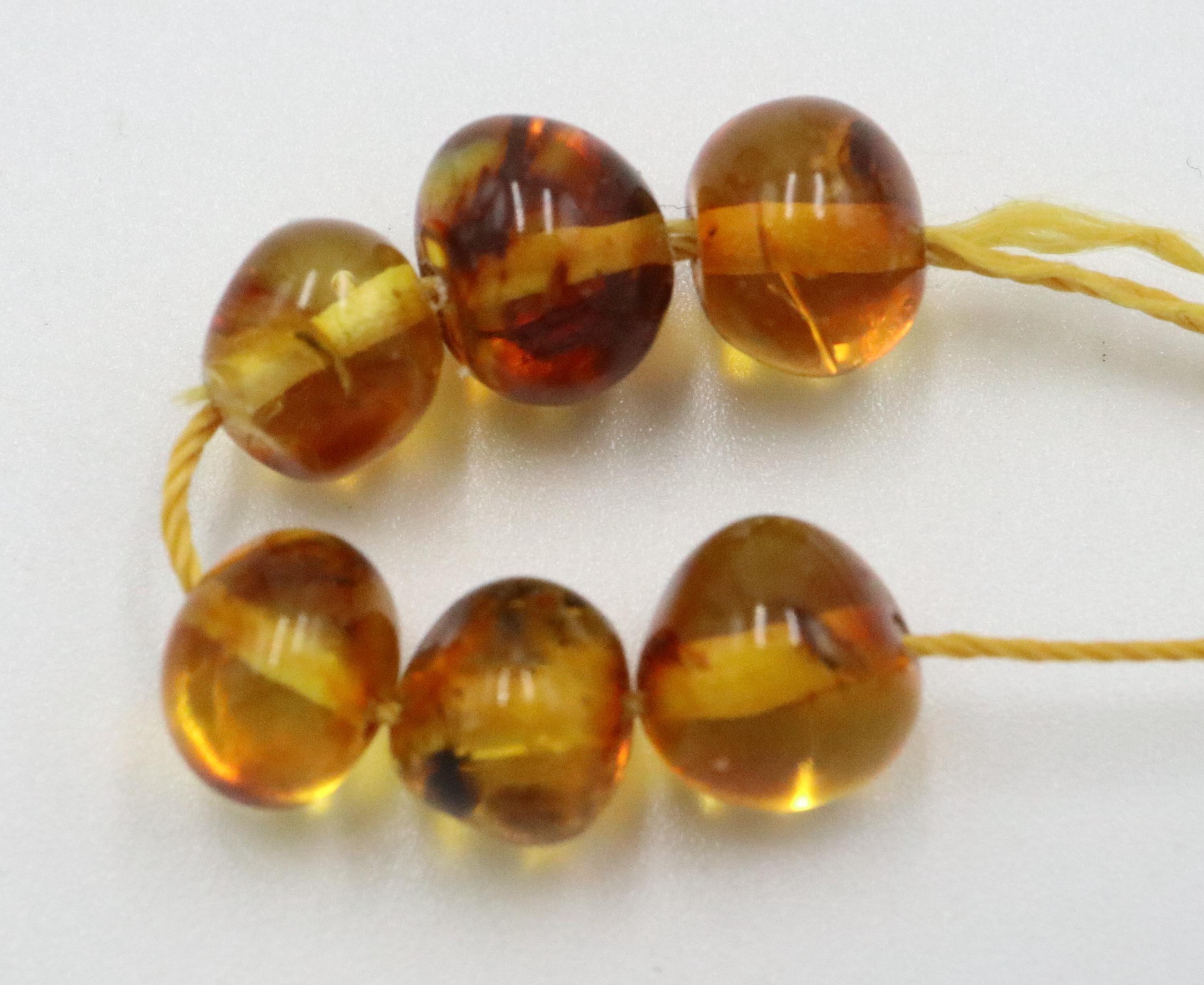 数百万年の間昆虫が閉じ込められていた琥珀石（6個入り）｜バルト海産 