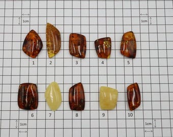 Baltic Amber Cabochons | Selection of Polished Gemstones | Size 2.6 cm-4.1cm Weight 2.3-3.5g | Jewelry, Ring, Pendant Making Amber Cabochon