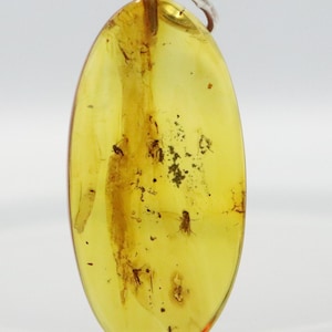 Amber Pendant with 5 Insects, 925 Sterling Silver | Baltic Amber Pendant with Fossil trapped for Million Years | Natural Amber Jewelry