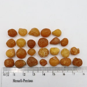 Baltic Amber Drops 25 Stones | Naturally Formed over Millions of Years |  Genuine  Raw Amber Gemstones  | Can be Used for Jewelry making