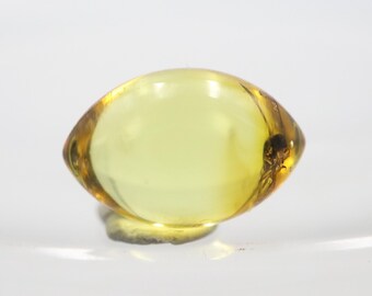 Oval Shaped Amber Stone with an Insect NOT DRILLED trapped for Million Years | Fossil Inclusion in Baltic Amber | Certified Baltic Amber