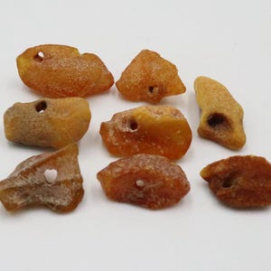 Baltic Amber 8 Stones with NATURAL holes | Naturally Formed over Millions of Years |  Genuine  Raw Amber Gemstones  | Jewelry making
