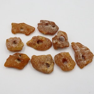 Baltic Amber 9 Stones with NATURAL holes | Naturally Formed over Millions of Years |  Genuine  Raw Amber Gemstones  | Jewelry making
