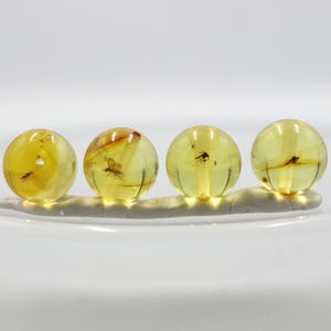 May include: Four spherical amber beads, each with a preserved insect inside. The beads are a warm yellow hue and are presented on a white surface. The insects are clearly visible within the amber.