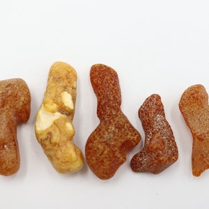 Baltic Amber Drops 5 Stones | Naturally Formed over Millions of Years |  Genuine  Raw Amber Gemstones  | Can be Used for Jewelry making