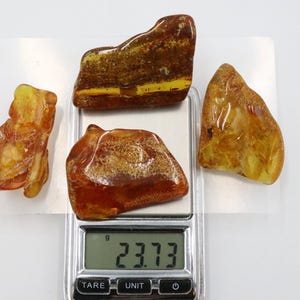 Baltic Amber Stones | Genuine Raw Amber Pieces | Can be used as DECORATION or for Amber Jewelry making | Natural Baltic Amber Gemstones