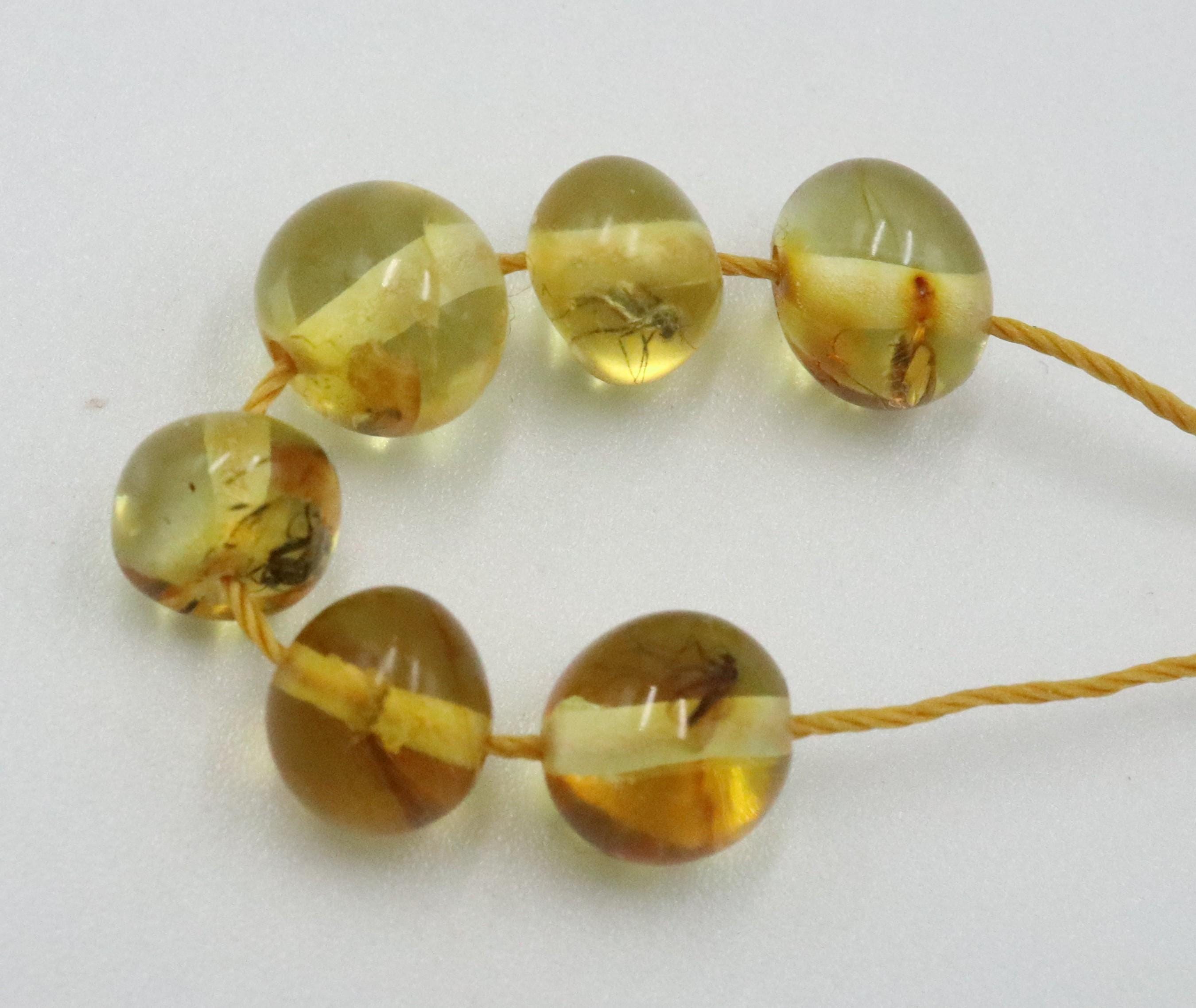 琥珀 複数虫入り 希少 天然石 パワーストーン石 30000万年前 本物です