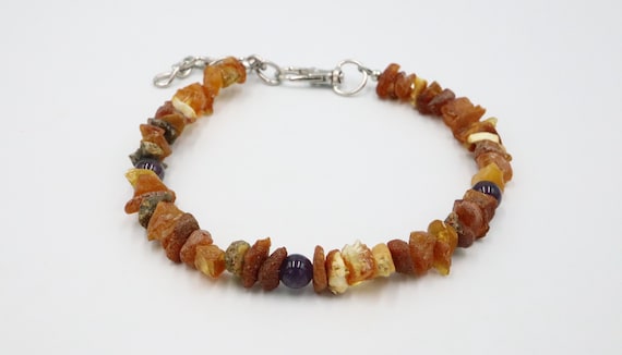 Bernstein Halsband fr Hunde und Katzen ALLE GRSSEN mit Amethyst  Edelsteinen | Anti Ticks und Flhe Bernstein Halsband | Hergestellt aus  natrlichen Rohbernstein - Etsy sterreich