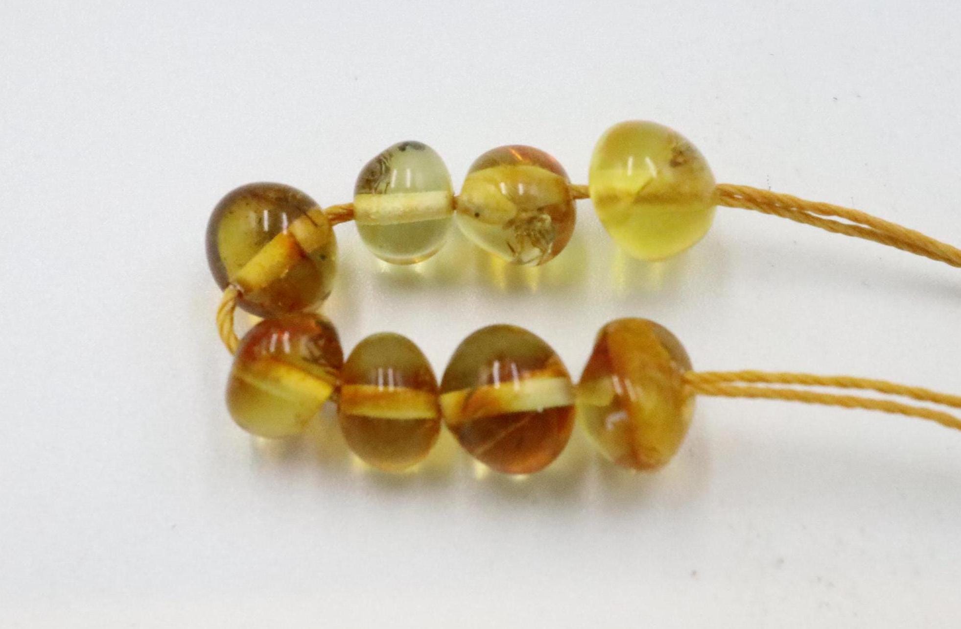 ドリルで穴を開けた8ロットの琥珀石に何百万年も閉じ込められたクモの