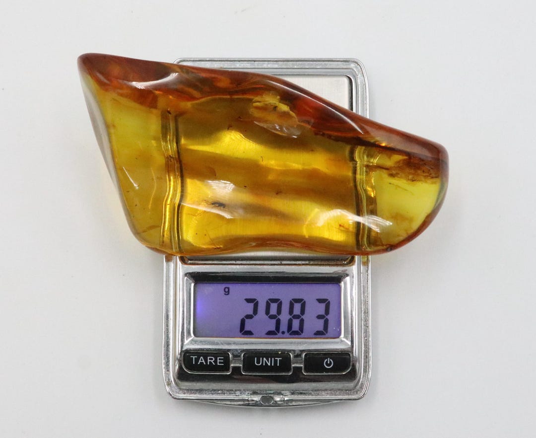 Baltic Amber Stone With 6 Insects | Genuine Raw Amber Piece | Used as ...