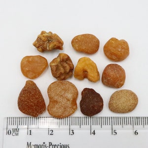 Baltic Amber Drops 11 Stones | Naturally Formed over Millions of Years |  Genuine  Raw Amber Gemstones  | Can be Used for Jewelry making